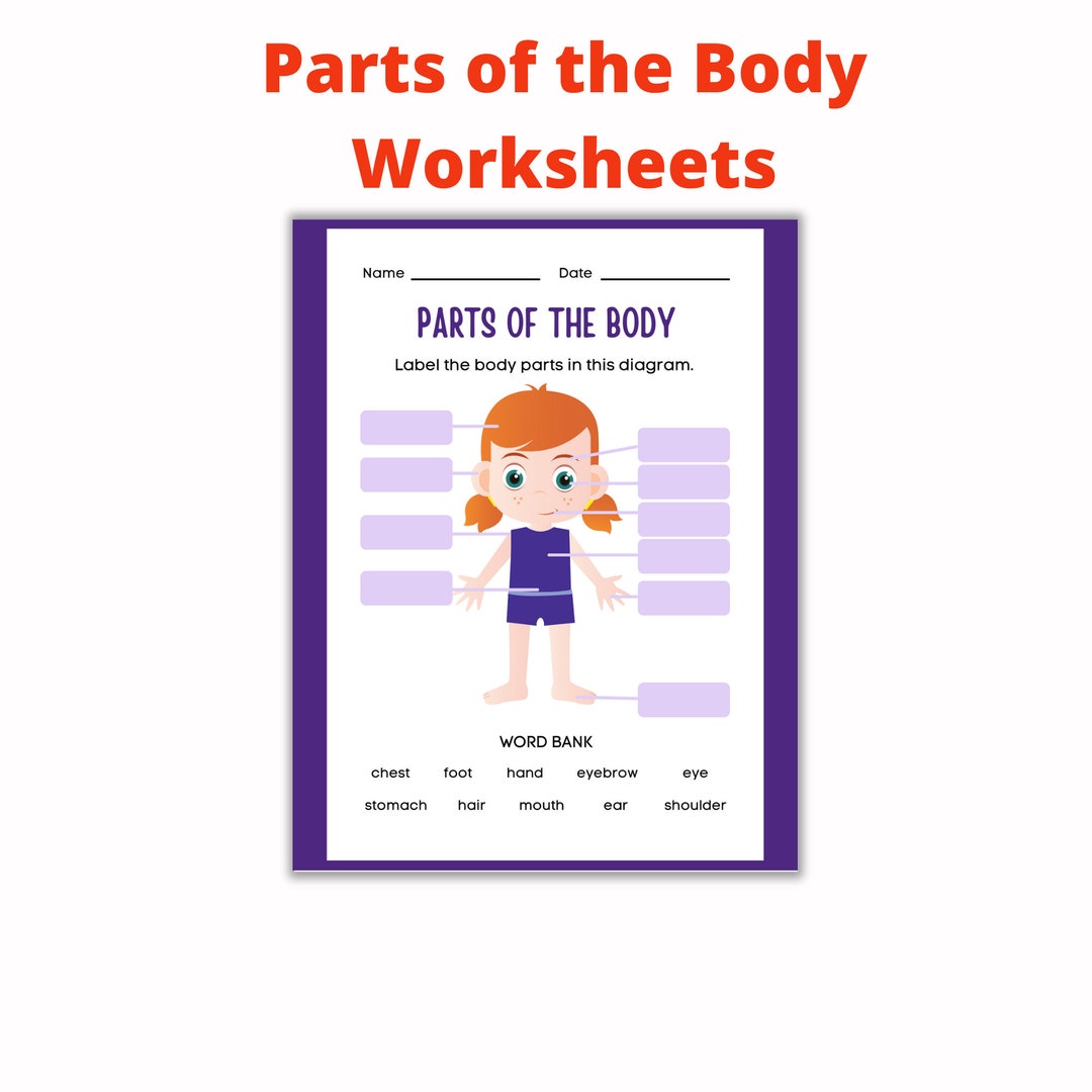 Parts of the Body Human Body Parts Identification Sense Etsy Singapore