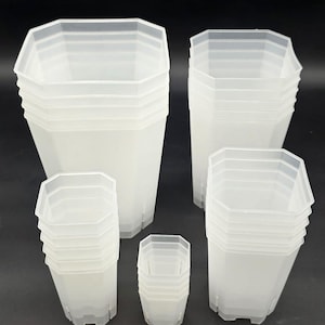 Clear Octagon Nursery Pots — Various Sizes