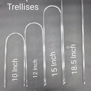May include: Four clear plastic U-shaped trellises in different sizes: 10 inch, 12 inch, 15 inch, and 18.5 inch.