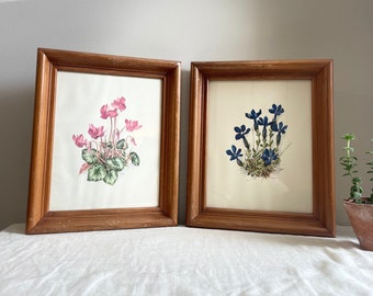 Pair of Pink and Blue Vintage Floral Prints with Wooden Frames