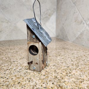 Rustic Miniature Gothic Metal Roof Birdhouse