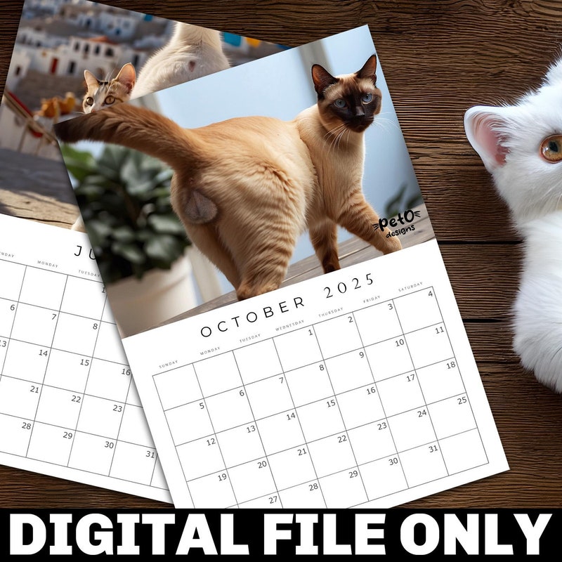 Cat Calendar Etsy