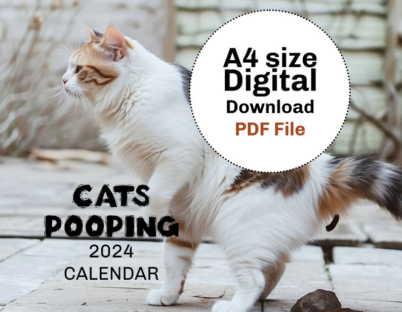 Pooping Cats Calendar 2024 Funny Cat Calendar for Cat Lovers With Humor