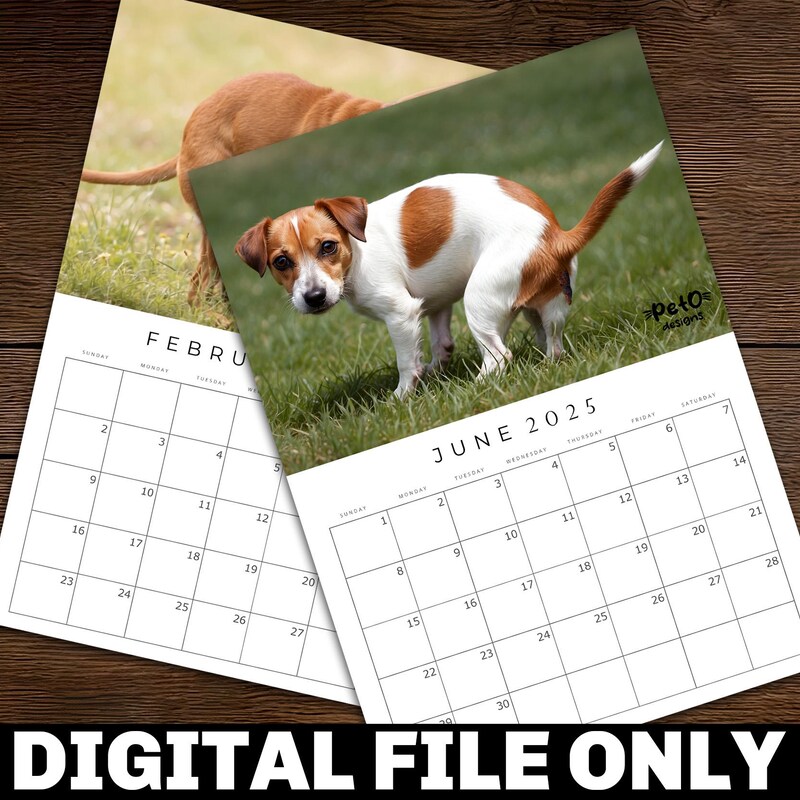 Pooping Dogs Calendar 2025 Etsy