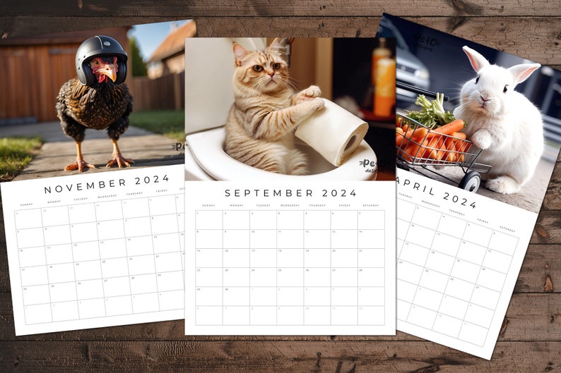 Funny Animals Calendar 2024 Funny Pet Dog Cat Bear Chicken Racoon