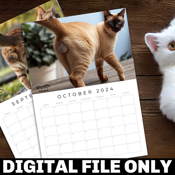 Cat Balls Calendar Etsy