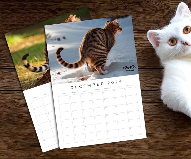 Pooping Cats Calendar 2024 Funny Cat Calendar for Cat Lovers With Humor