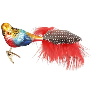 Golden Pheasant 9 cm Bird Inge-Glas® Christmas Decoration