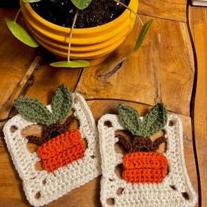 May include: Two crocheted squares with a plant design. Each square features a brown pot with an orange plant and green leaves. The squares are white with a cream color.