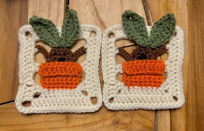 May include: Two crocheted squares featuring a plant in a pot. The plant has brown stems and green leaves. The pot is orange. The squares are white with a crocheted border.