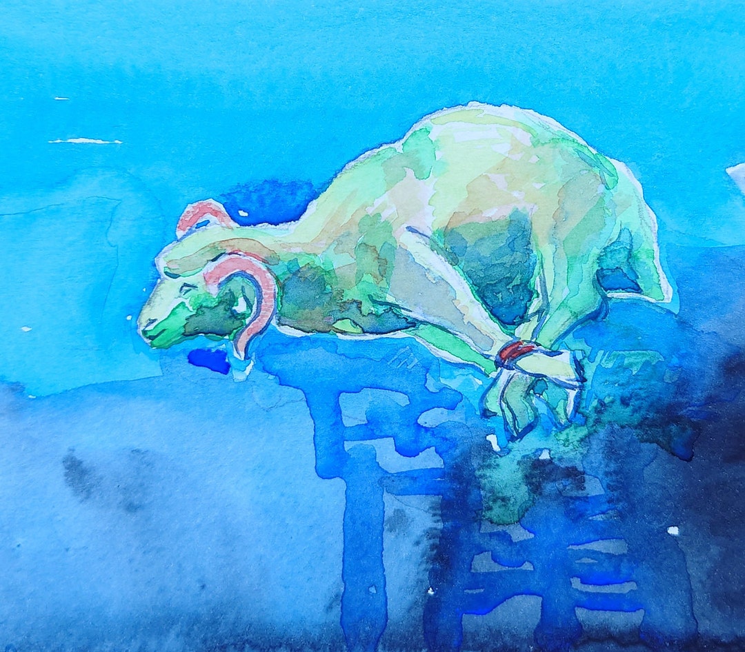 Sheep Painting, Original Watercolor Painting, Sheep Artwork Etsy