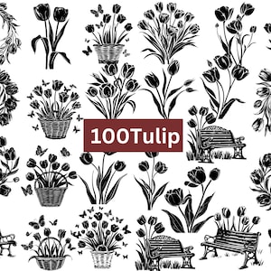 Tulip svg bundle