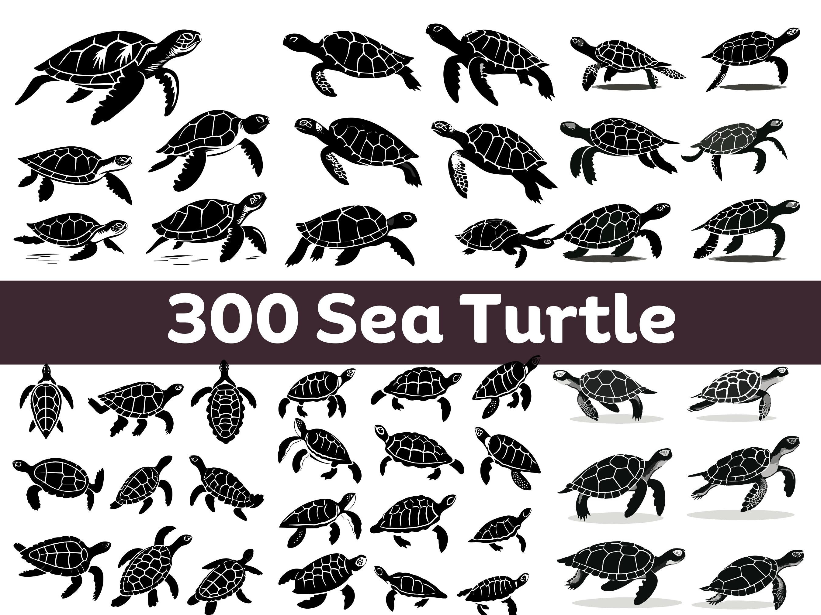 Sea Turtle SVG Turtle SVG Beach SVG Sea Turtle Png - Etsy