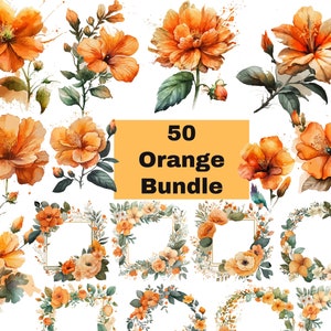 50 Orange Flowers PNG | Watercolor Flower Clipart | Orange Flowers Bundle Illustrations | Instant Download