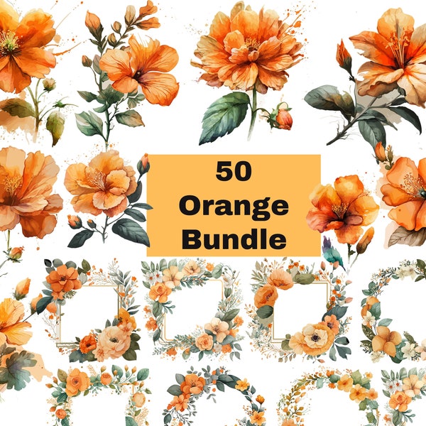 50 Orange Flowers PNG | Watercolor Flower Clipart | Orange Flowers Bundle Illustrations | Instant Download