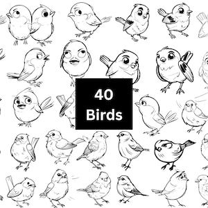 Pájaro SVG, Paquete de pájaro svg, pájaro volador svg, animal svg, pájaro clip art, gorrión svg, archivos para cricut, silueta de pájaro, pájaros svg