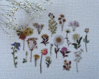 Pressed Flower Stickers, Sticker Set, Laptop Stickers Pack, Flower Stickers for Planner, Bullet Journal Accessories, 2026 Bullet Journal