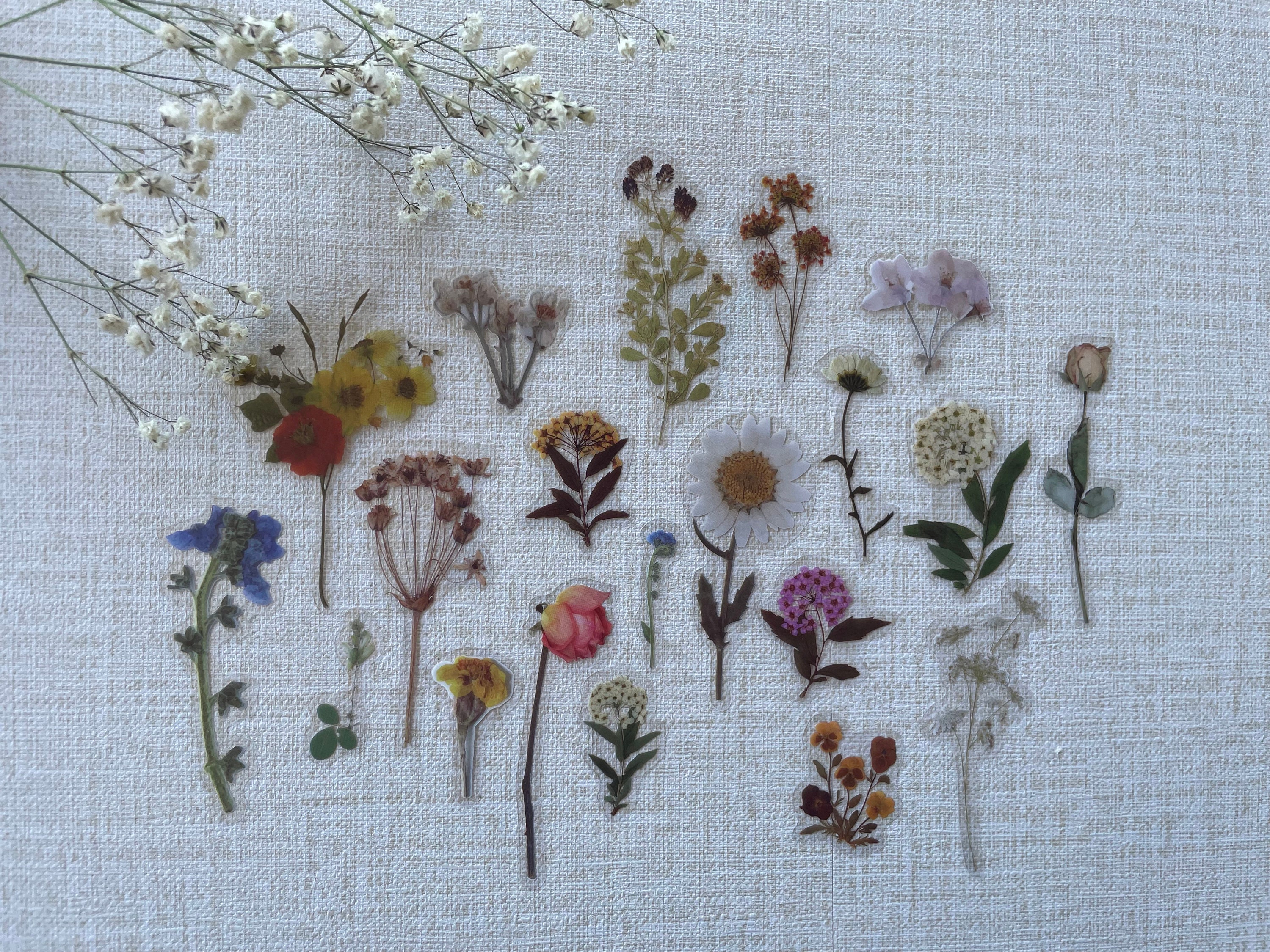 Pressed Flower Stickers Sticker Set Laptop Stickers Pack Etsy