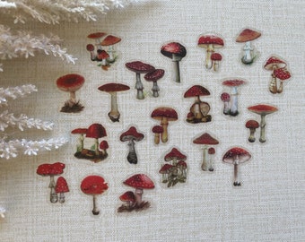 Mushroom Sticker, Sticker Set, Laptop Stickers Pack, Flower Stickers for Planner, Bullet Journal Accessories, 2026 Bullet Journal
