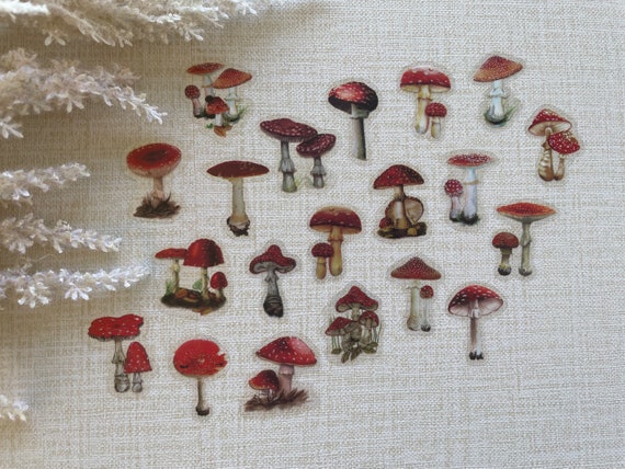 Mushroom Sticker, Sticker Set, Laptop Stickers Pack, Flower Stickers for Planner, Bullet Journal Accessories, 2026 Bullet Journal