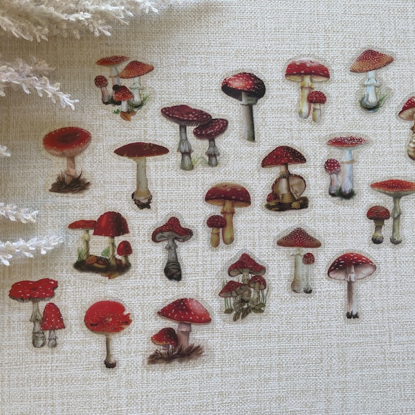 Mushroom Sticker, Sticker Set, Laptop Stickers Pack, Flower Stickers for Planner, Bullet Journal Accessories, 2022 Bullet Journal