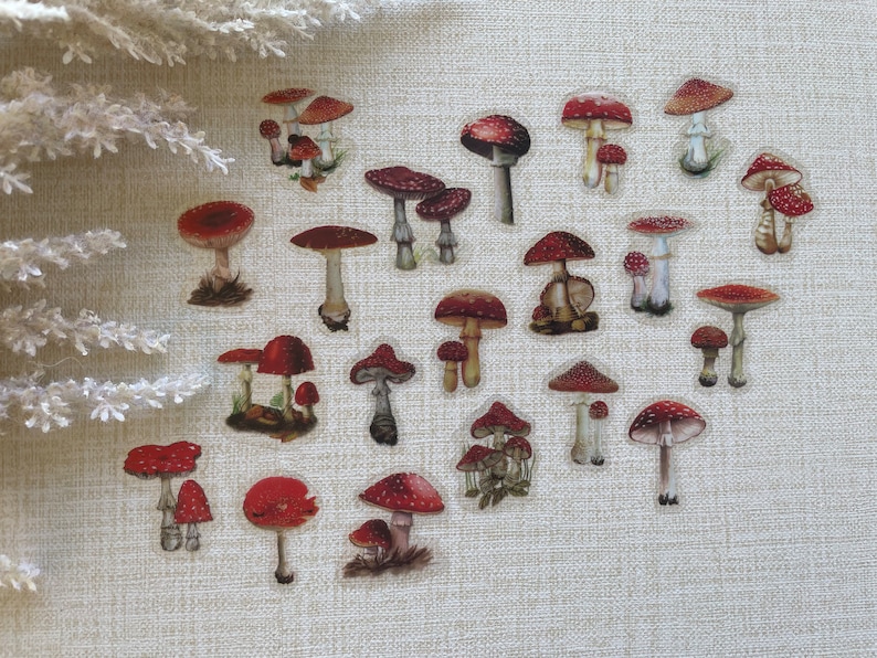 Pode incluir: Uma cole&ccedil;&atilde;o de 20 adesivos de cogumelos vermelhos e brancos. Os cogumelos s&atilde;o de v&aacute;rios tamanhos e formas, alguns com manchas brancas. Os adesivos est&atilde;o sobre um fundo de tecido bege claro.