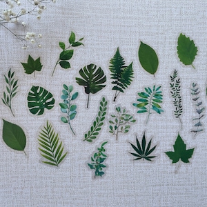 Leaves Stickers, Ferns, Sticker Set, Laptop Stickers Pack, Flower Stickers for Planner, Bullet Journal Accessories, 2022 Bullet Journal