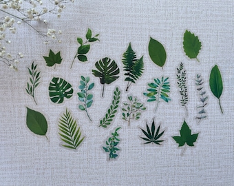 Leaves Stickers, Ferns, Sticker Set, Laptop Stickers Pack, Flower Stickers for Planner, Bullet Journal Accessories, 2026 Bullet Journal