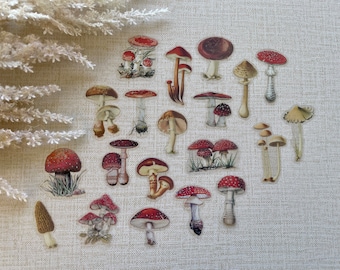Mushroom Sticker, Sticker Set, Laptop Stickers Pack, Flower Stickers for Planner, Bullet Journal Accessories, 2022 Bullet Journal