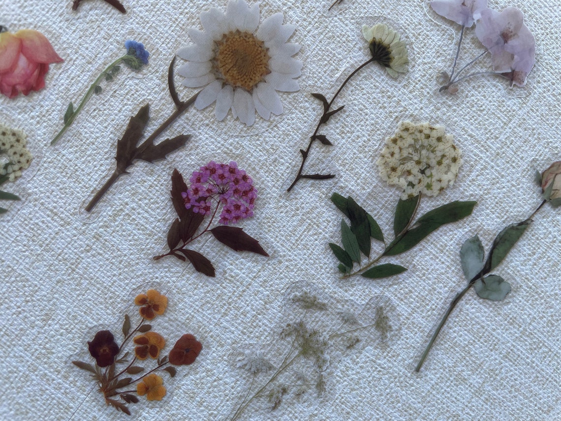 Pressed Flower Stickers Sticker Set Laptop Stickers Pack Etsy