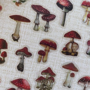 Pode incluir: Uma folha de adesivos de cogumelos vermelhos e brancos. Os cogumelos s&atilde;o ilustrados em estilo vintage com pontos brancos e hastes marrons.