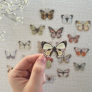 May include: A sheet of clear stickers featuring various butterfly designs. The butterflies are in shades of brown, white, and black. The stickers are perfect for adding a touch of whimsy to journals, planners, or other craft projects.
