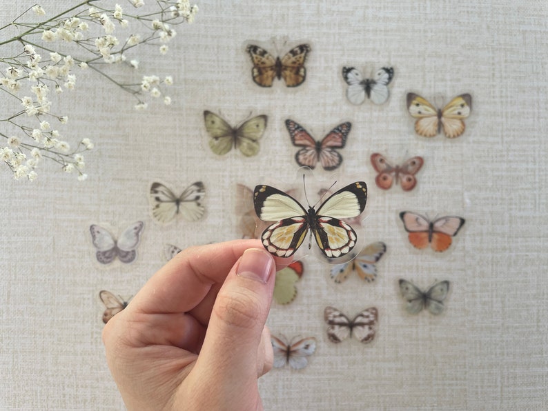 May include: A sheet of clear stickers featuring various butterfly designs. The butterflies are in shades of brown, white, and black. The stickers are perfect for adding a touch of whimsy to journals, planners, or other craft projects.