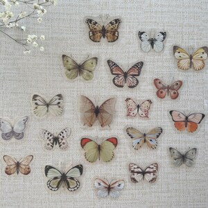 May include: A collection of 18 butterfly specimens, each with unique markings and colors, displayed on a textured beige surface. The butterflies are arranged in a circular pattern, with some overlapping.