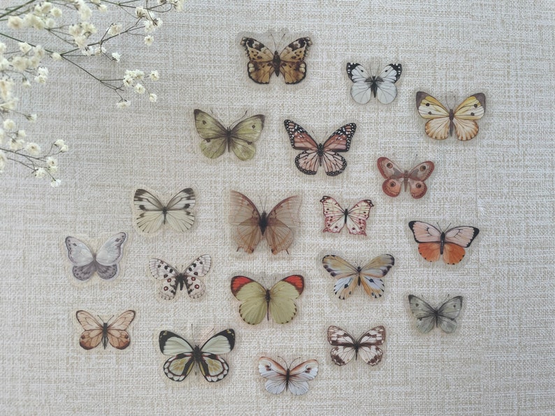 May include: A collection of 18 butterfly specimens, each with unique markings and colors, displayed on a textured beige surface. The butterflies are arranged in a circular pattern, with some overlapping.