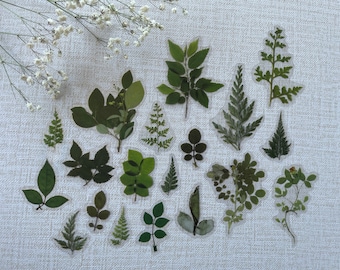 Pressed Leaf Sticker Pack Bundle for Journal Art Decor Nature Supply Botanical Print Scrapbook Gift Stationery Pack Pressed Flower Arts