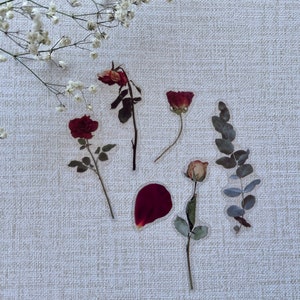 Pegatinas de flores prensadas, juego de pegatinas, paquete de pegatinas para computadora portátil, pegatinas de flores para planificador, accesorios para Bullet Journal, Bullet Journal 2022