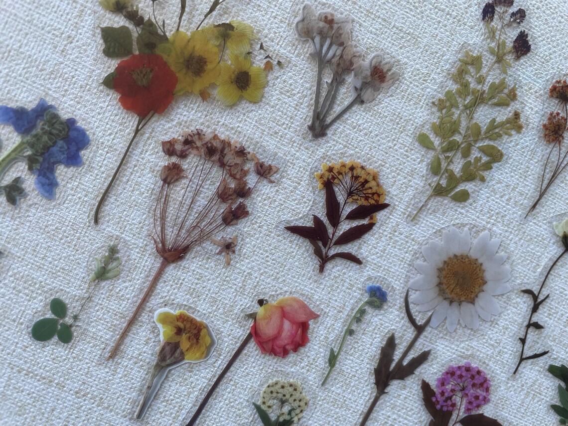Pressed Flower Stickers Sticker Set Laptop Stickers Pack Etsy