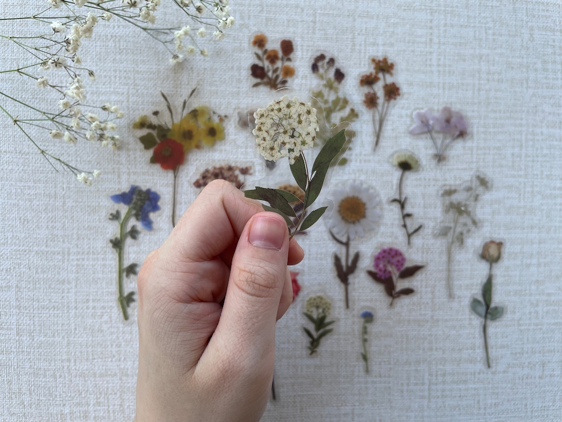 Pressed Flower Stickers Sticker Set Laptop Stickers Pack Etsy