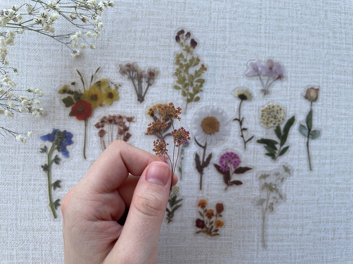 Pressed Flower Stickers Sticker Set Laptop Stickers Pack Etsy