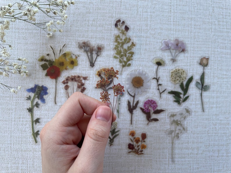 Pressed Flower Stickers Sticker Set Laptop Stickers Pack Etsy