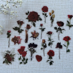 Calcomanía floral vintage con flores prensadas, aliento de bebé, acento botánico, decoración de diario, pegatina para computadora portátil, cubierta de cuaderno, accesorio de planificador, regalo