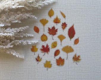 Fall Leaves Stickers, Sticker Set, Laptop Stickers Pack, Flower Stickers for Planner, Bullet Journal Accessories, 2026 Bullet Journal