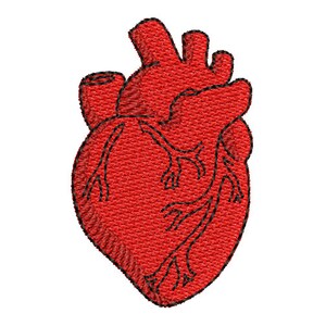 May include: A red anatomical heart illustration with black outlines. The heart is detailed with veins and chambers.