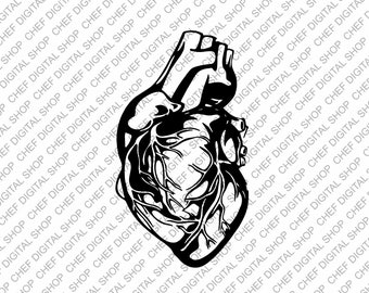 Arte de pared de corazón humano, archivo de corte láser, decoración de pared, archivos Glowforge, archivos digitales, Svg, Pdf, Ai, Dxf, Cdr y otros formatos (L0402)