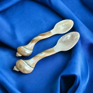 Mother Pearl Seashell Spoon Set 2, Eco-Friendly Dinnerware, Beautiful Coastal Spoon, Decorative Beach Spoon, New House Gift, Christmas Gift