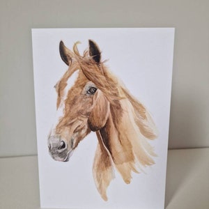 Pferd Grußkarte blanko innen