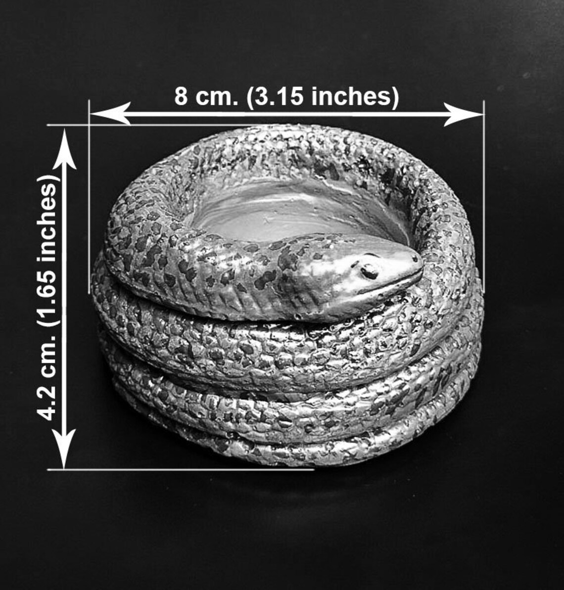 Black Snake. Pot for Succulents and Cacti in the Form of a Etsy