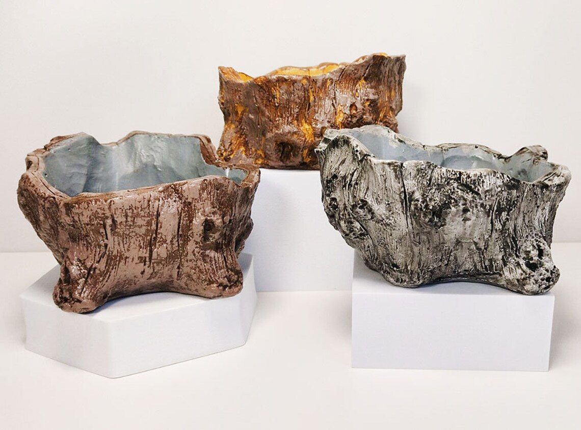 Flower Pot. Imitation Under a Tree. Stump. Ideal for Succulents and