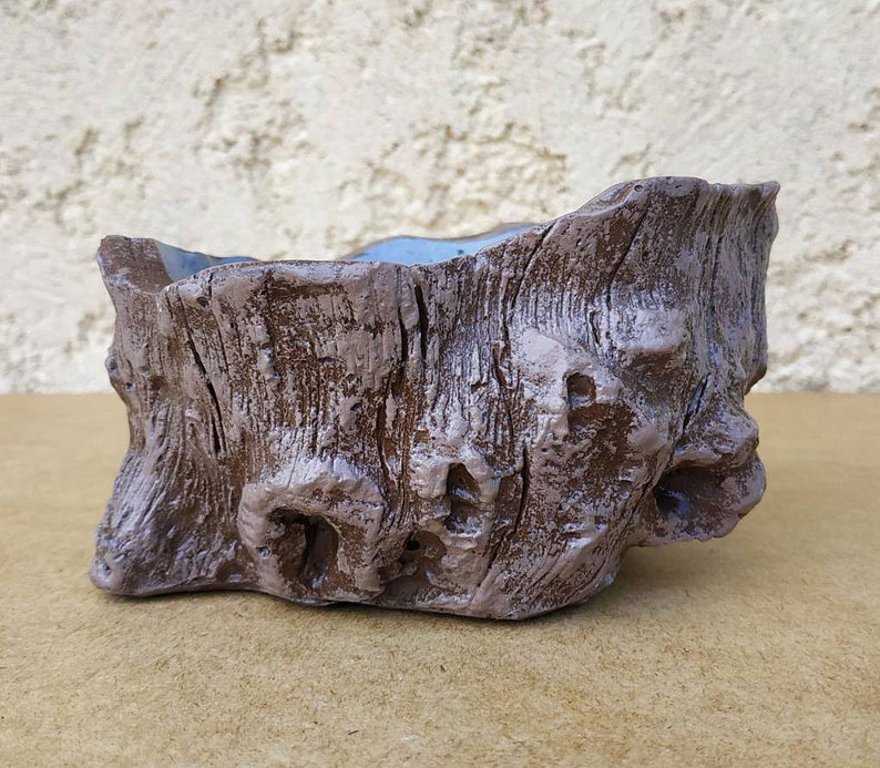 Flower Pot. Imitation Under a Tree. Stump. Ideal for Succulents and